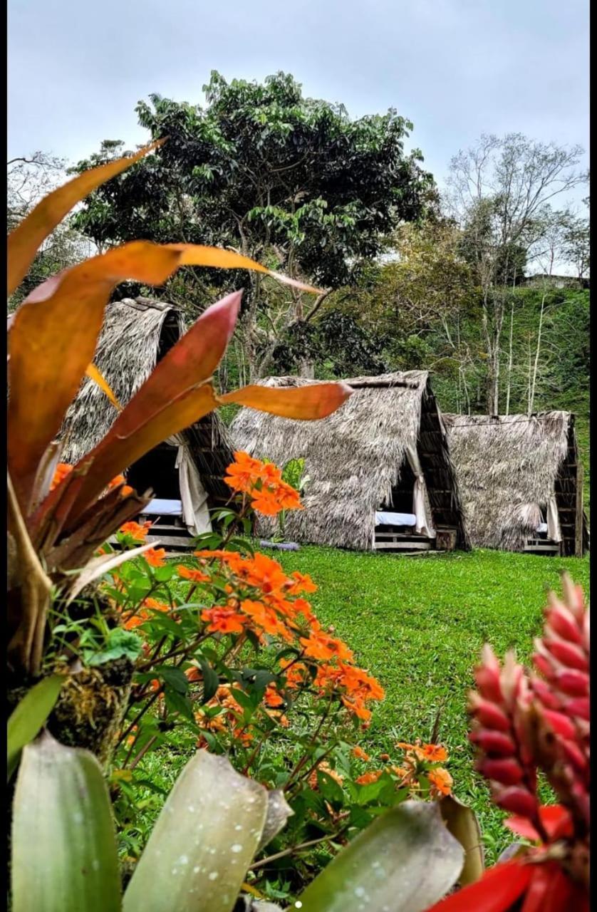 Mocoa Rancho Porvenir B&B 외부 사진